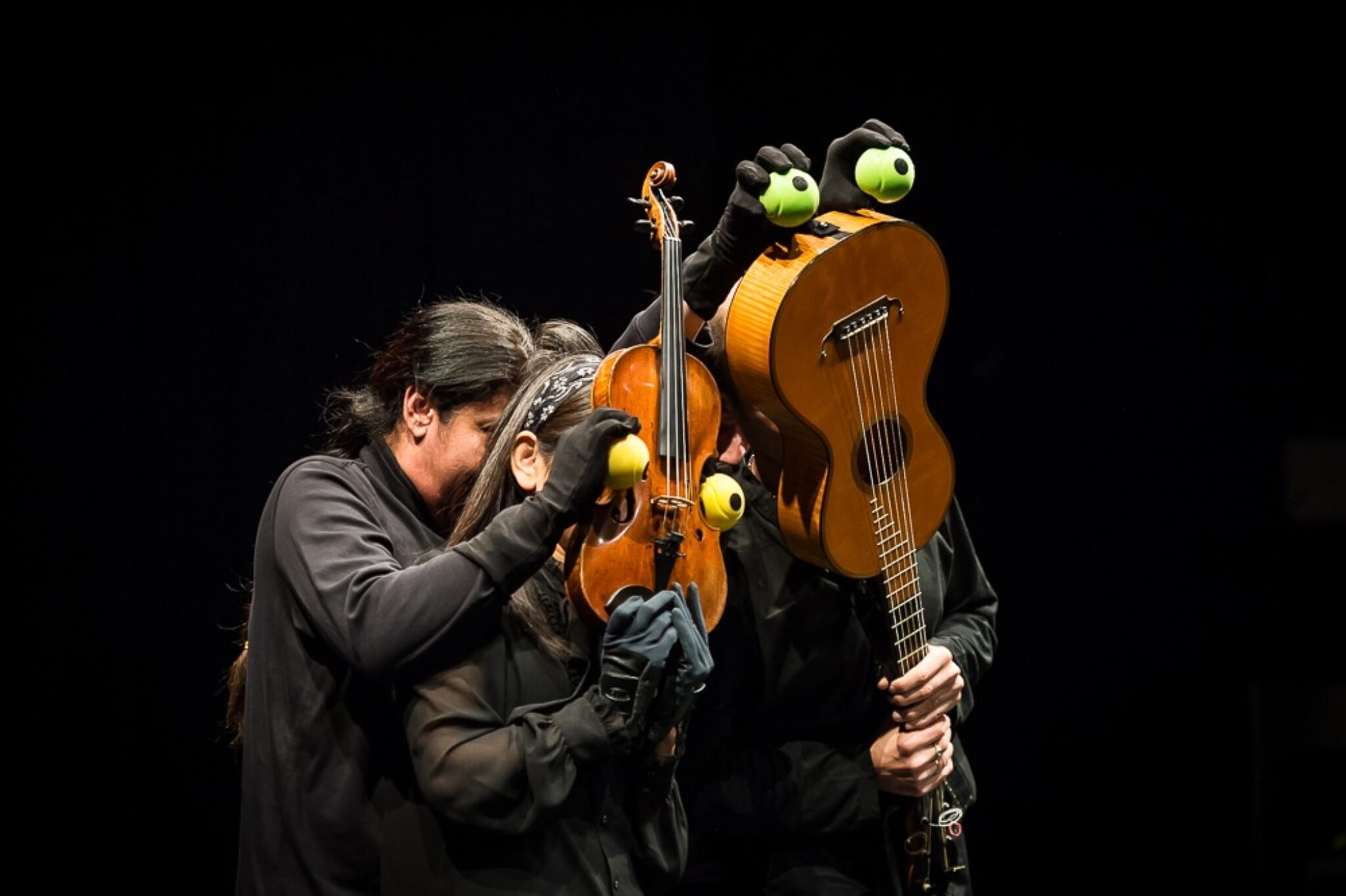 Ein Tier, geformt aus Instrumenten
