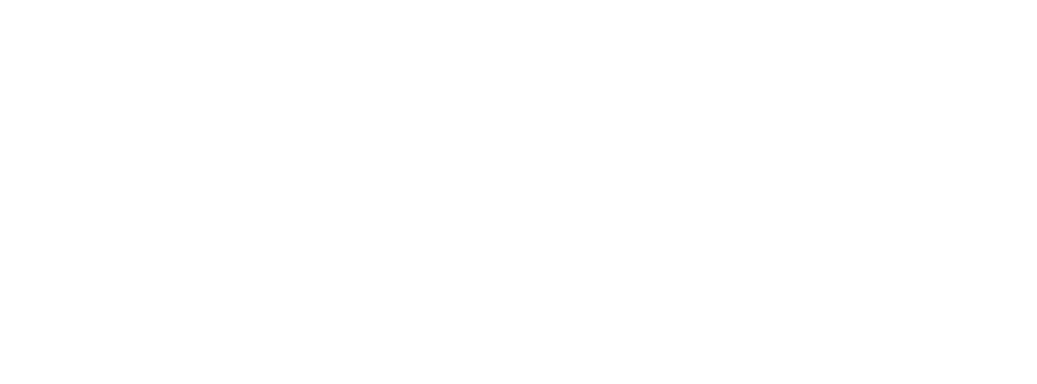 Logo Thomas & Doris Ammann Stiftung